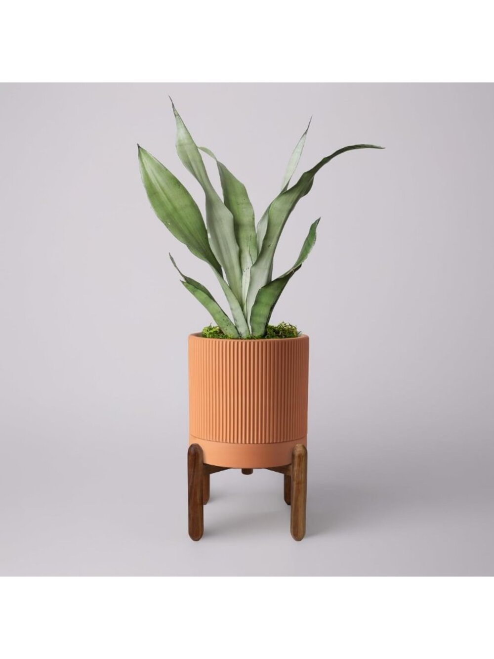 Large 8-Inch Terracotta Planters with Drainage & Saucer for Indoor/Outdoor